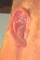 Click image for larger version

Name:	ear.jpg
Views:	36
Size:	10.3 KB
ID:	1027418